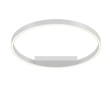 Потолочный светильник Maytoni Rim