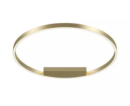 Потолочный светильник Maytoni Rim