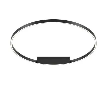 Потолочный светильник Maytoni Rim