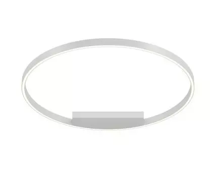 Потолочный светильник Maytoni Rim