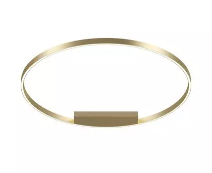 Потолочный светильник Maytoni Rim