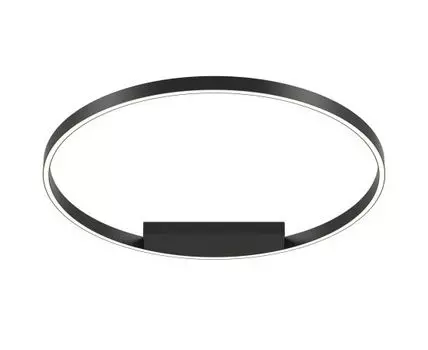 Потолочный светильник Maytoni Rim