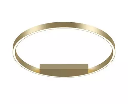 Потолочный светильник Maytoni Rim