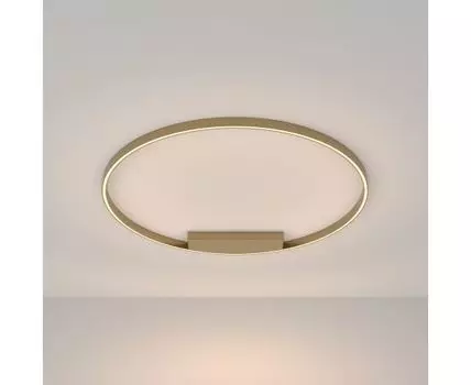 Потолочный светильник Maytoni Rim