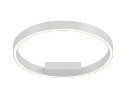 Потолочный светильник Maytoni Rim