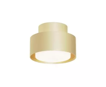 Потолочный светильник Maytoni Space