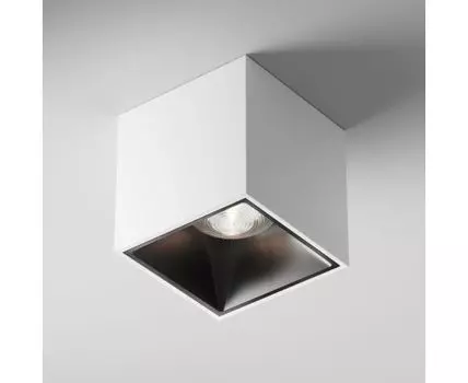 Потолочный светильник Maytoni Technical Alfa