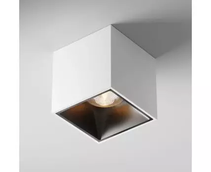 Потолочный светильник Maytoni Technical Alfa