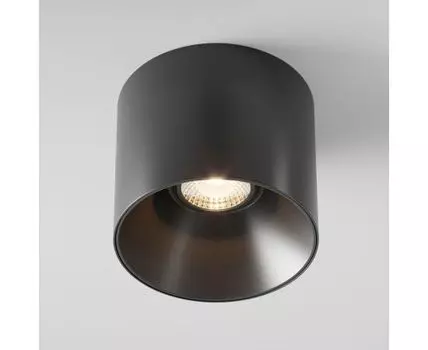 Потолочный светильник Maytoni Technical Alfa