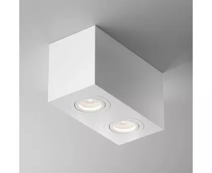 Потолочный светильник Maytoni Technical Atom