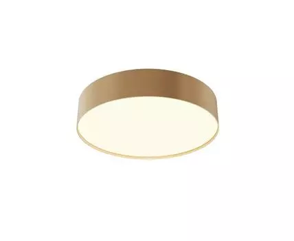 Потолочный светильник Maytoni Technical Zon