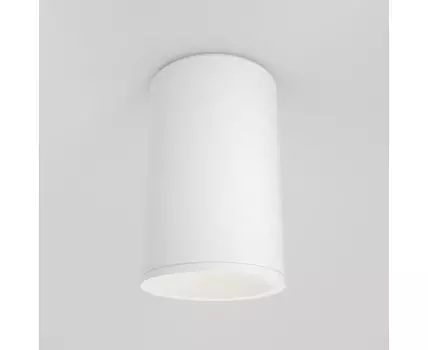 Потолочный светильник Maytoni Technical Zoom