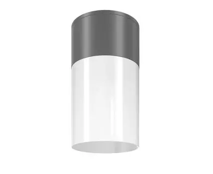 Потолочный светильник Maytoni Willis