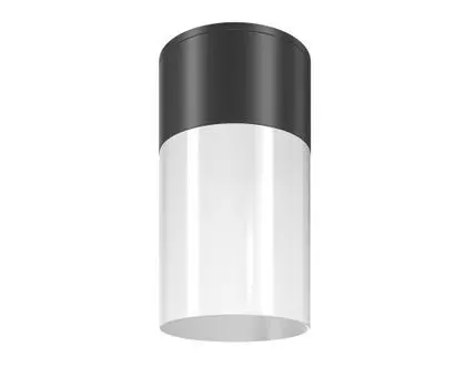 Потолочный светильник Maytoni Willis