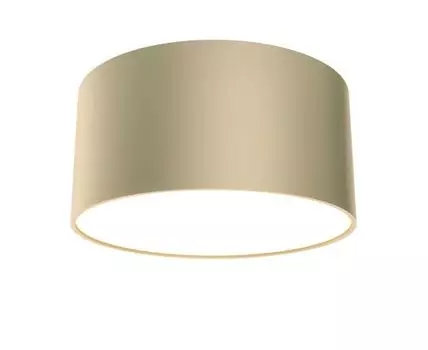 Потолочный светильник Maytoni Zon