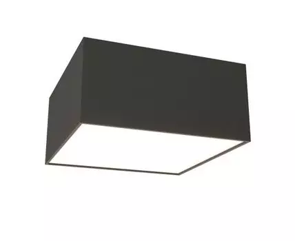 Потолочный светильник Maytoni Zon