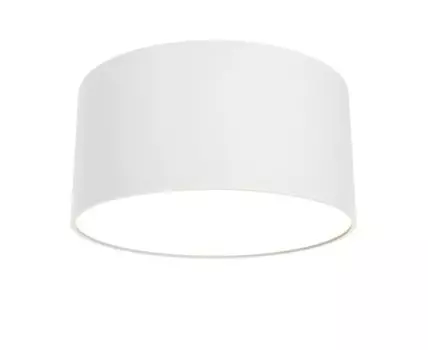 Потолочный светильник Maytoni Zon