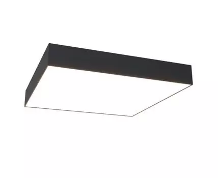 Потолочный светильник Maytoni Zon