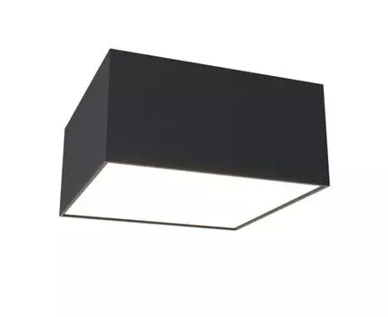 Потолочный светильник Maytoni Zon