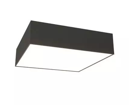 Потолочный светильник Maytoni Zon