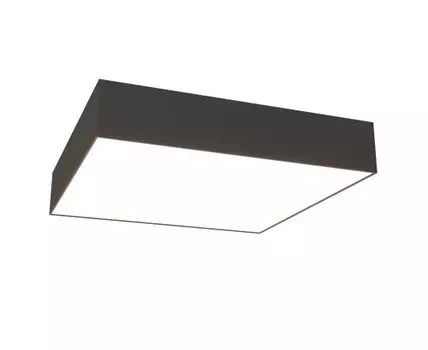 Потолочный светильник Maytoni Zon