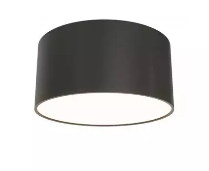 Потолочный светильник Maytoni Zon