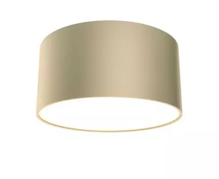 Потолочный светильник Maytoni Zon