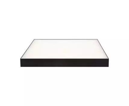 Потолочный светильник Maytoni Zon