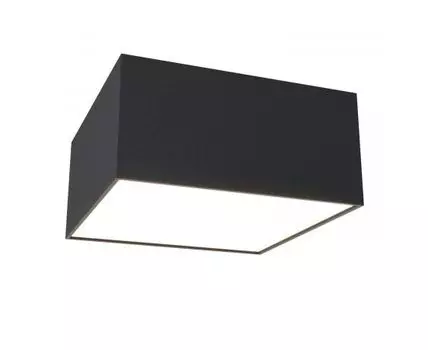 Потолочный светильник Maytoni Zon