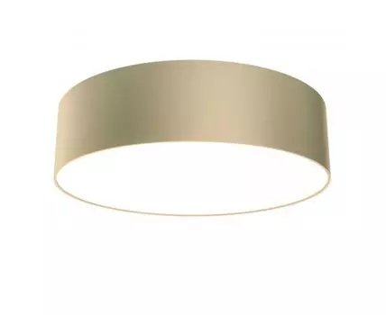 Потолочный светильник Maytoni Zon