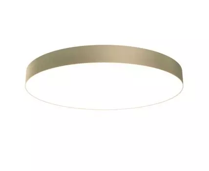 Потолочный светильник Maytoni Zon