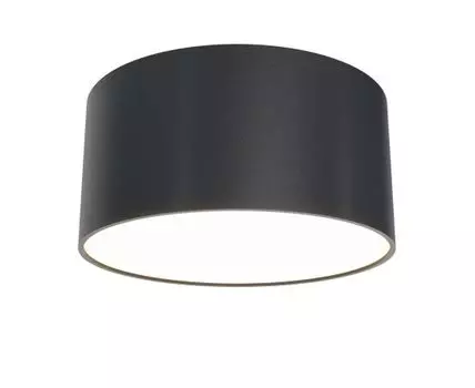 Потолочный светильник Maytoni Zon