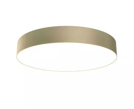 Потолочный светильник Maytoni Zon