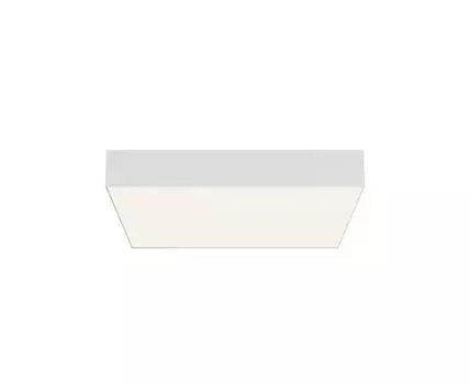 Потолочный светильник Maytoni Zon