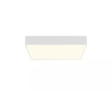 Потолочный светильник Maytoni Zon