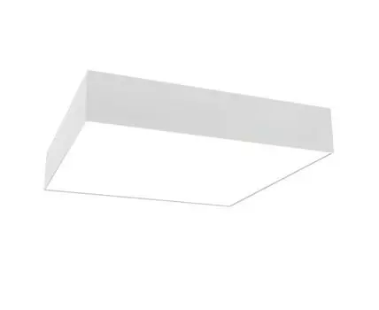 Потолочный светильник Maytoni Zon