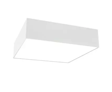 Потолочный светильник Maytoni Zon