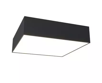 Потолочный светильник Maytoni Zon