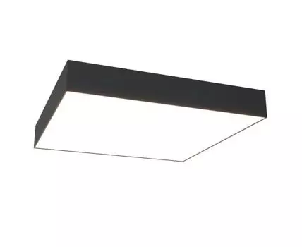 Потолочный светильник Maytoni Zon