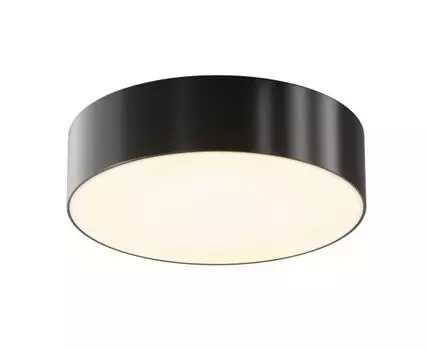 Потолочный светильник Maytoni Zon IP