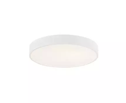 Потолочный светильник Milosh tendence (Белый)