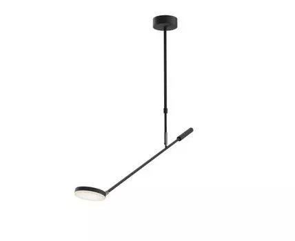 Потолочный светильник на штанге Maytoni Fad