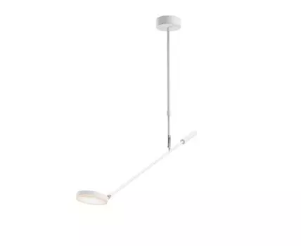 Потолочный светильник на штанге Maytoni Fad