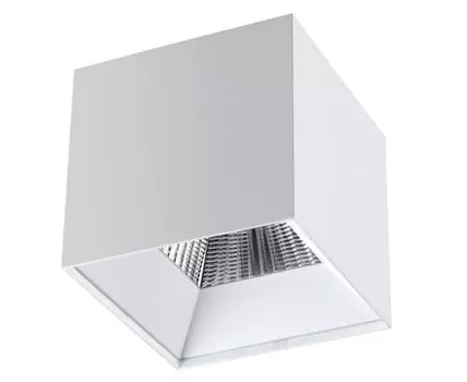 Потолочный светильник Novotech накладной RECTE