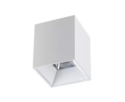 Потолочный светильник Novotech накладной RECTE