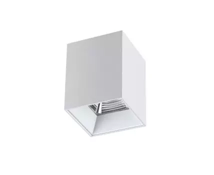 Потолочный светильник Novotech накладной RECTE