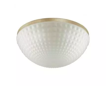 Потолочный светильник Odeon Light MALAGA