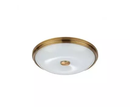 Потолочный светильник Odeon Light PELOW