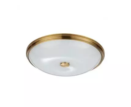 Потолочный светильник Odeon Light PELOW