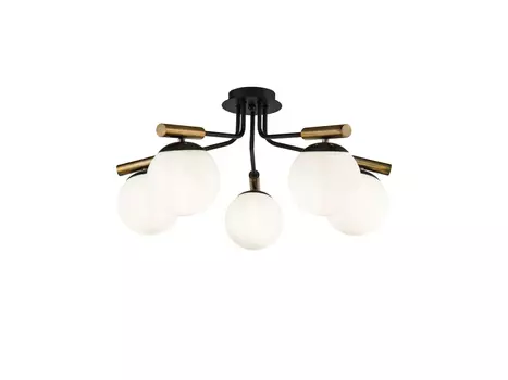 Потолочный светильник Paolina